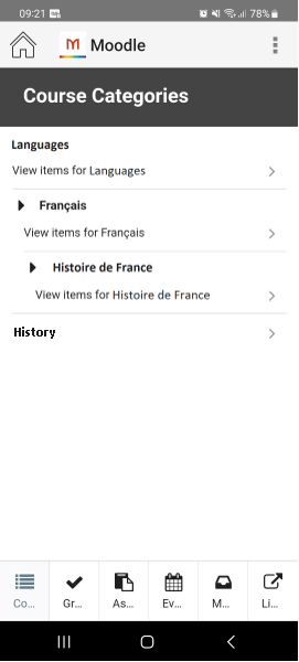 [Áñ éx~ámpl~é óf ñ~ésté~d cát~égór~íés.]